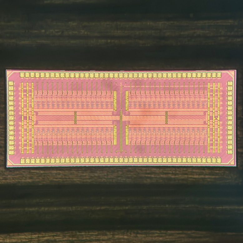 Macro photograph of the sample-and-hold die